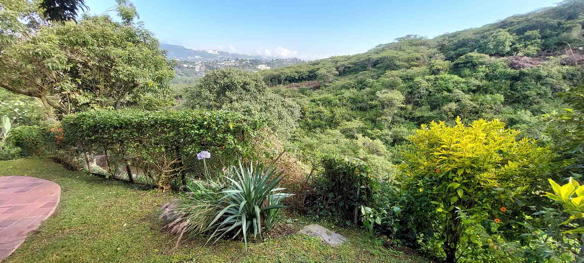 nuevas fotos casa (13)