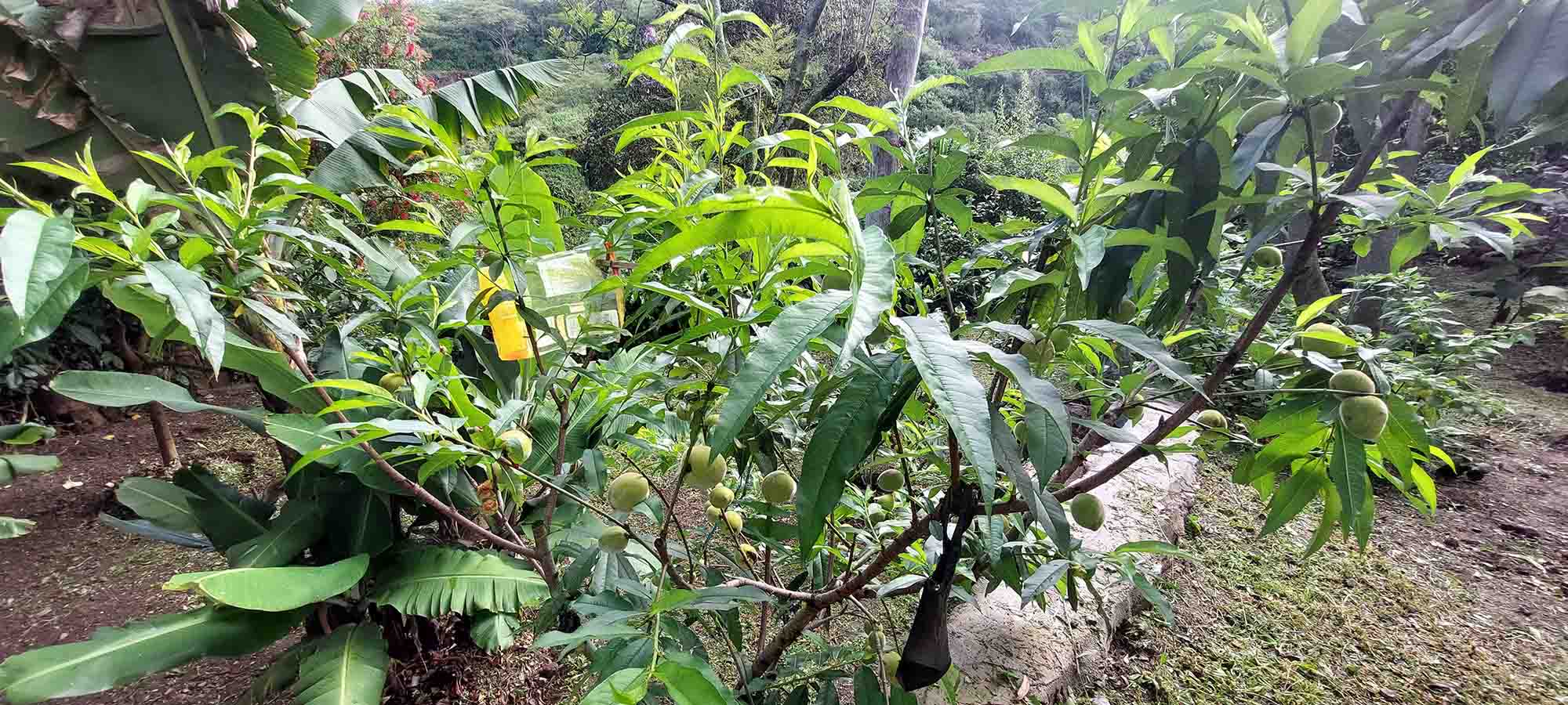 nuevas fotos casa (19)