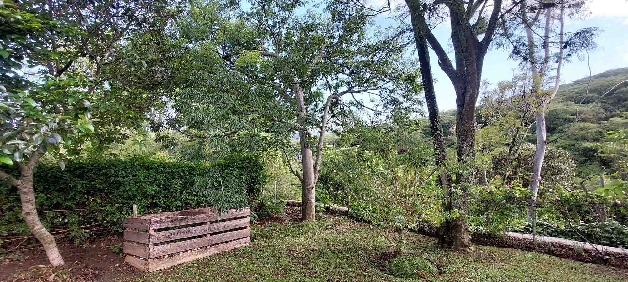 nuevas fotos casa (22)