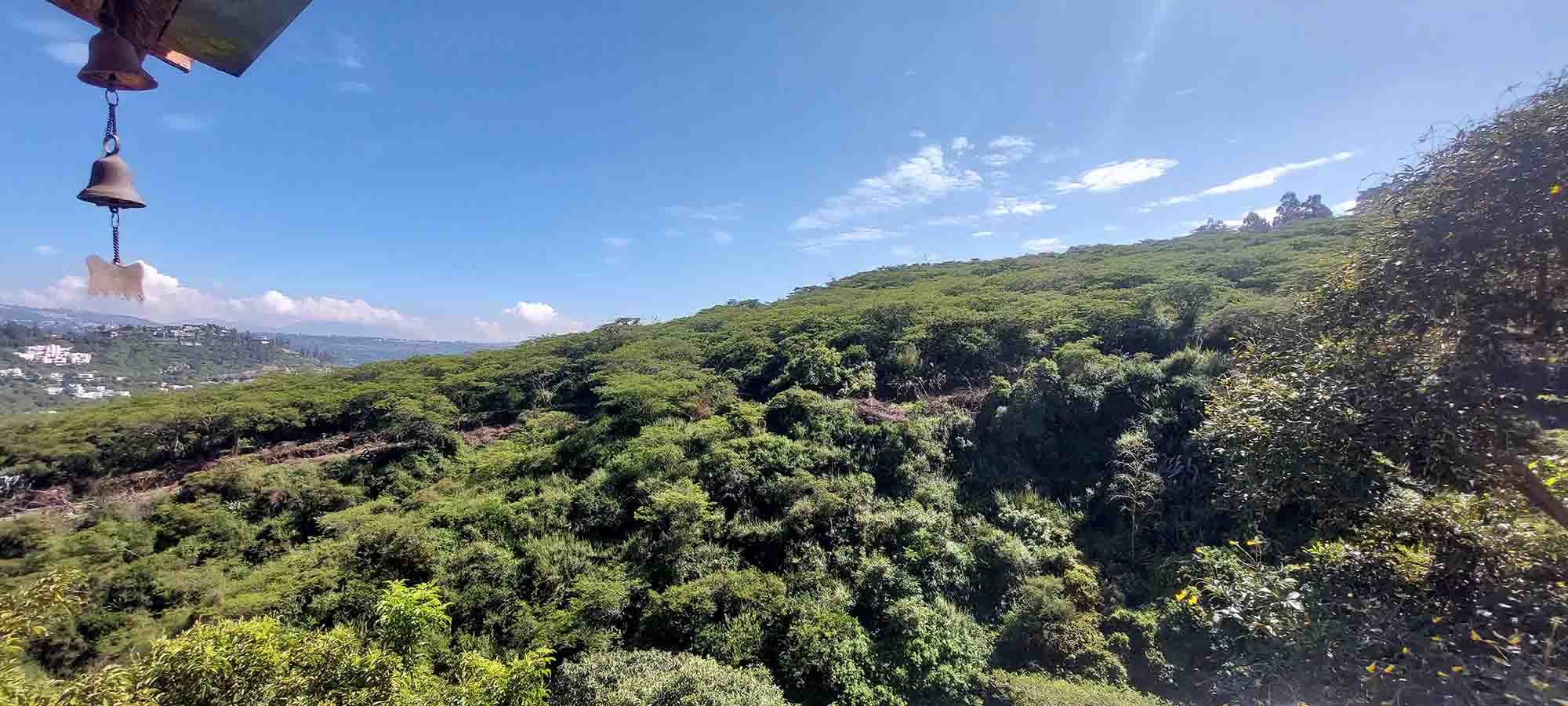 nuevas fotos casa (7)